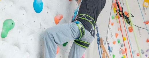 hernia belt